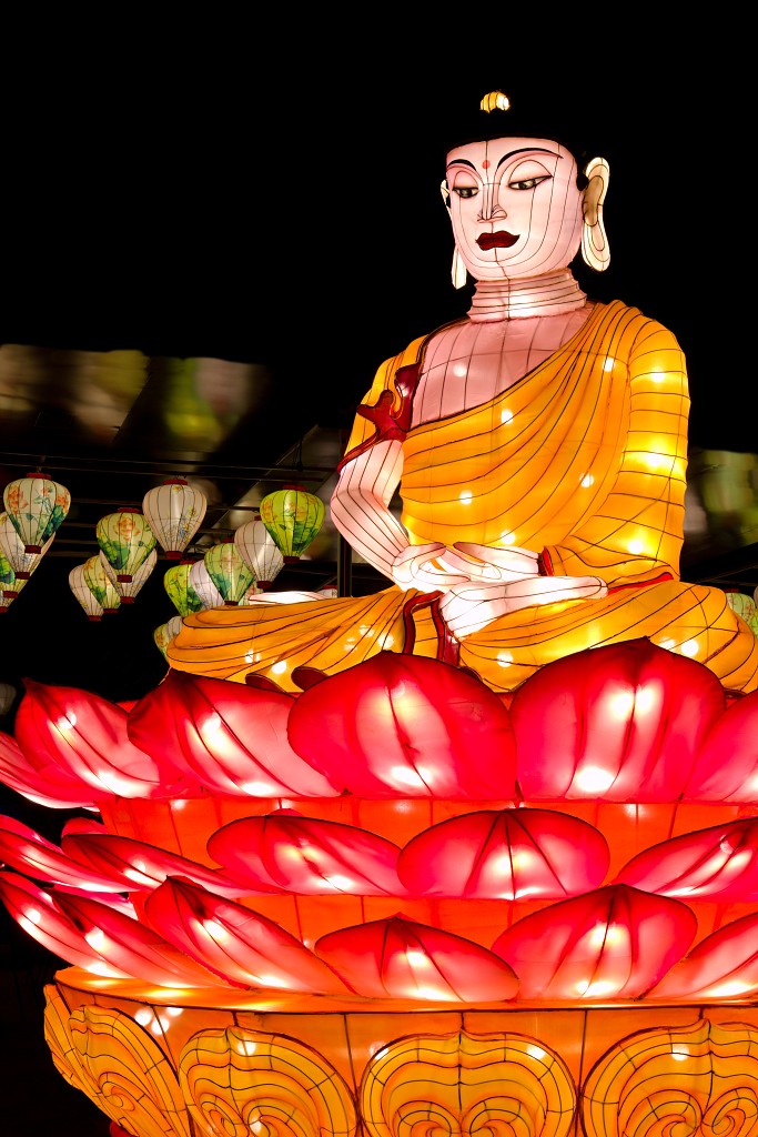 china light licht festival lichtshow show festiviteit glow evenement event chinees chinese verlichting draak dragon lichtfestival zoo